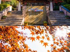 -天目湖涵田度假村