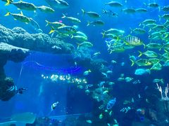-海合安青岛极地海洋公园