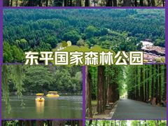 -东平国家森林公园