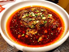 凉拌鸡-铁公鸡·四川料理(天环广场店)