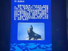-福州罗源湾海洋世界旅游区