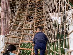 -北戴河集发农业梦想王国