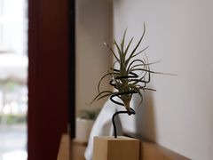 -灶咖KITCHEN