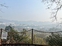 -伴山茶苑·围炉煮茶