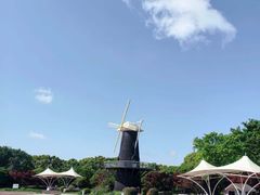 -上海鲜花港