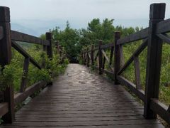 -阳台山自然风景区
