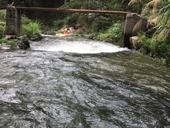-千岛湖王子谷漂流