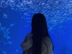 -成都浩海立方海洋公园