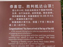 -九曜山