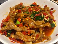 鸭掌筋-壹盏灯(惠农店)