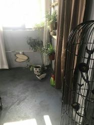 -HG美发设计沙龙