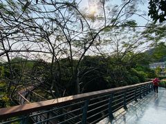 -立新湖公园