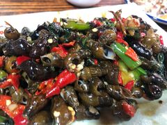 山吭螺-桃姐农庄老字号(从化温泉店)