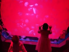 -沈阳海洋探索中心