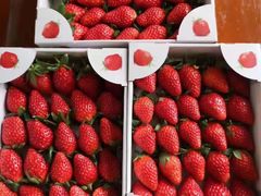 -上海龙吴水胜海发市场