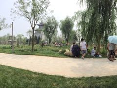 -武清南湖绿博园