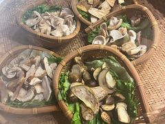 -滇野云南野生菌餐厅(陕西南路店)