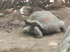 -广州长隆飞鸟乐园