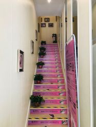 -静博士·养生养颜