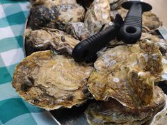 -豪园台山碳烧生蚝(蓬江江华店)