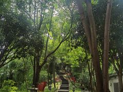 -丰都鬼城名山景区