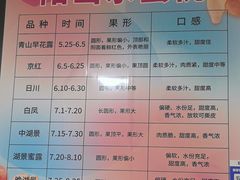 -老袁家蜜桃农场·阳山水蜜桃