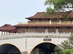 -大湾区中央湿地公园