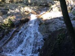 -东天目山风景区