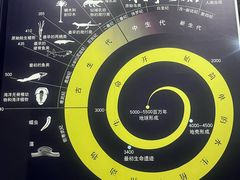 -中国西峡恐龙遗迹园