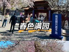 -桃花堤公园