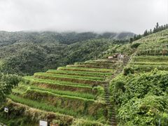 -龙脊梯田