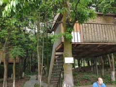 -象山森林公园