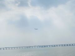 -宝安西湾红树林湿地公园