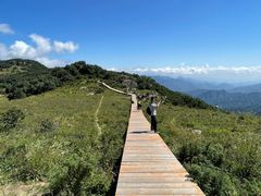 -白草畔自然风景区