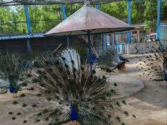 -森林公园(尖草坪区)