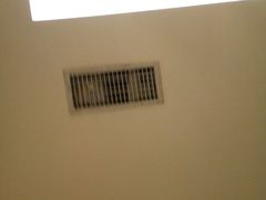 -九毛九西北菜(大东海店)