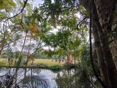 -中国科学院西双版纳热带植物园