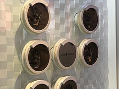 -乐天免税店(明洞店)