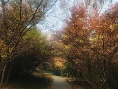 -虞山城墙