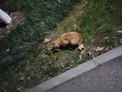 -堤角公园