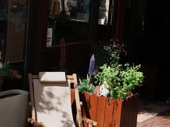 -济南国际园博园