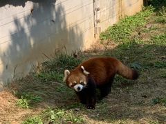 -黔灵山公园