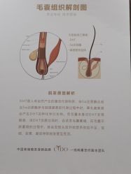 -熙朵美学植发连锁