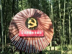 -黄海国家森林公园