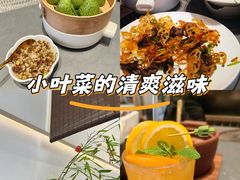 -俏立方·15年新楚菜