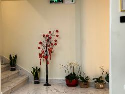 -海涛医疗美容·面部抗衰·注射美鼻