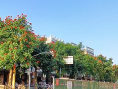 -红色娘子军纪念园