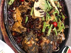 -老板恋上鱼(恒隆广场店)