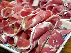 羊肉-东镇老火锅(长春路首店)