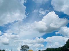 -动邦皮划艇·桨板·独木舟·团建户外运动俱乐部